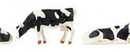 VACHES PIES NOIRES 